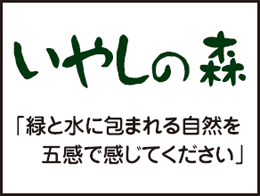 いやしの森「緑と水に包まれる自然を五感で感じてください」